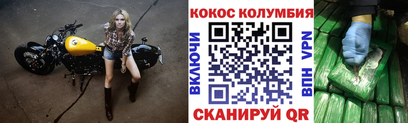 COCAIN Fish Scale  как найти   Правдинск 