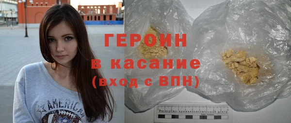 сатива Новозыбков