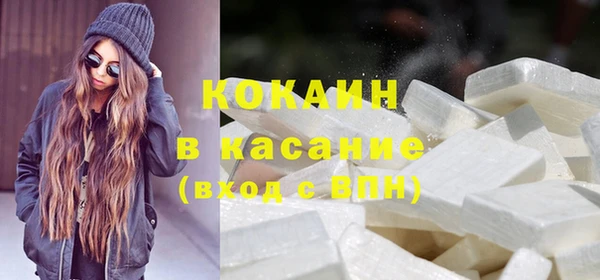 бошки Няндома