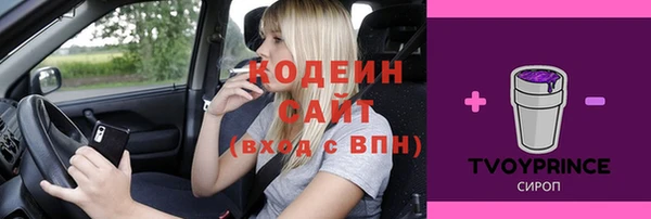 бошки Няндома