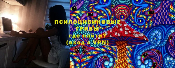 бошки Няндома