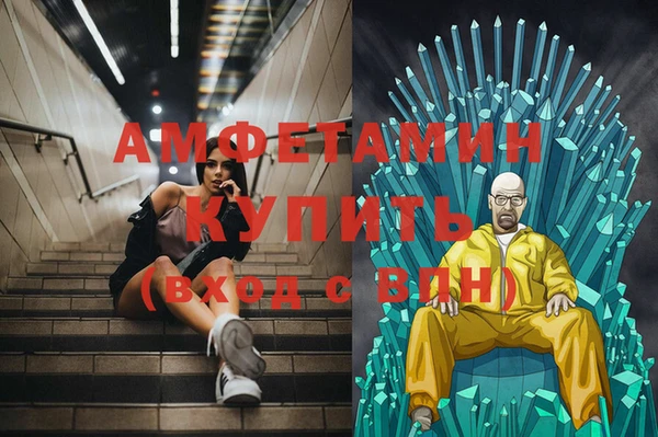 сатива Новозыбков