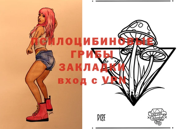 бошки Няндома
