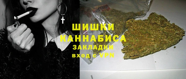 бошки Няндома